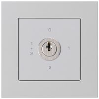 Interruttore rotativo INC kallysto.pro 1/1L grigio chiaro con serratura Kaba 8