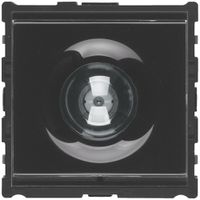 Ersatz-Video-Modul Hager elcom.modesta für Türsprechanlage