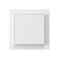 Frontset kallysto 60×60 weiss für Druckschalter/taster