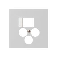 Placca frontale 3×Koax+1×RJ45 kallysto multimedia R&M grigio chiaro