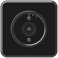 UP-Schwenktaster origin ohne Zylinder 1P 0<1 10A 230V 92×92mm schwarz