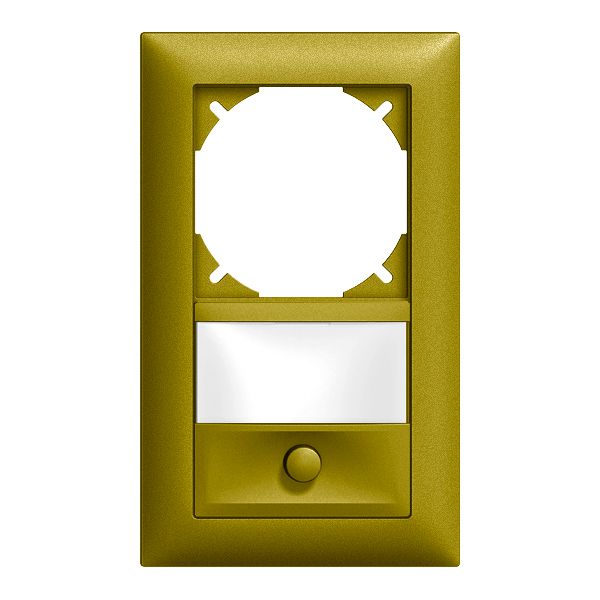 UP-Kombination EDIZIOdue leer+Sonnerie olive