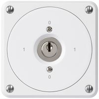 Interruttore a chiave INC robusto senza copertura 0/2P bianco per combinazione