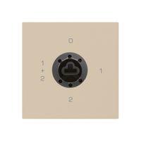 Intérieur interrupteur à clé kallysto 1/1L beige p.serrure de sûreté s.cylindre