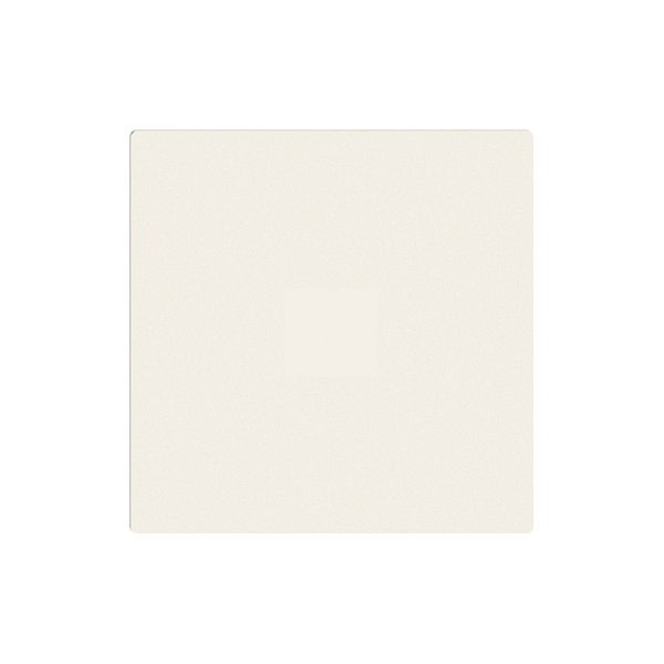 Plaque frontale EDIZIOdue blanc, p. zeptrion App station 4k