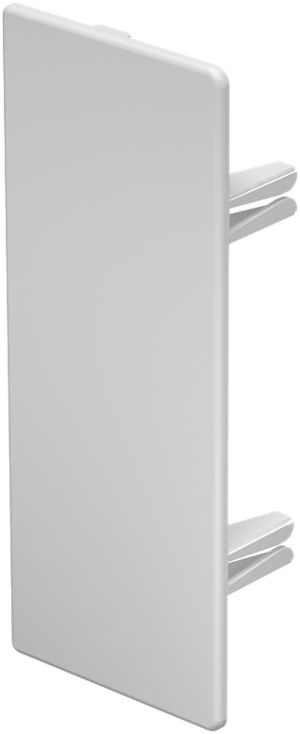 Plaque de fermeture Bettermann pour canal d'installation WDK blanc pur 60×150mm