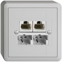 AP-Dose SOHO 2×TT/2×RJ45/u getr.ITplus EDIZIOdue hellgrau