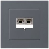 UP-Dose kallysto.pro 2×RJ45s parallel anthrazit