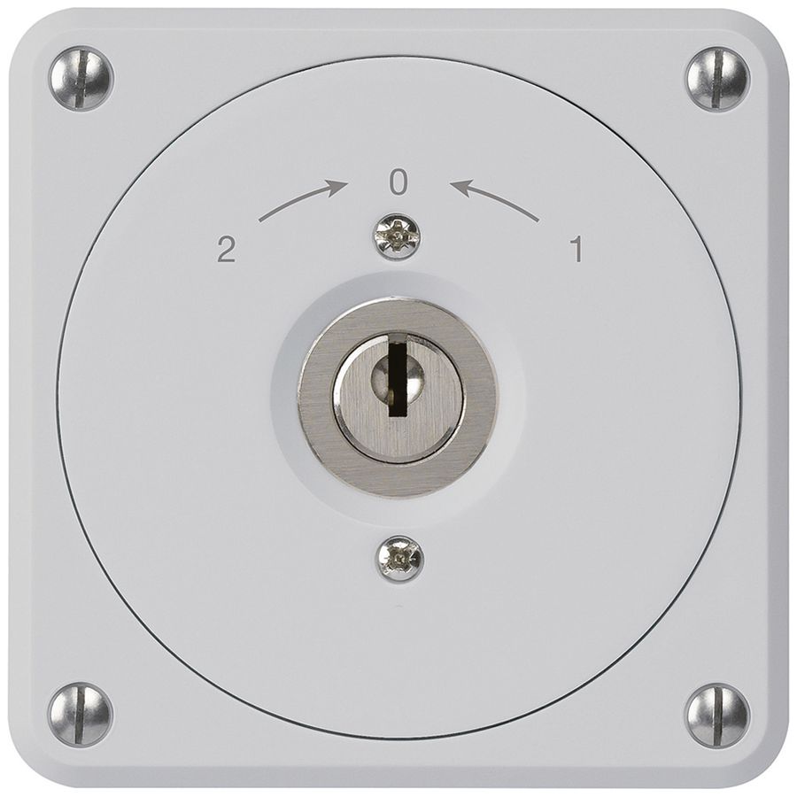 UP-Schlüsselschwenktaster robusto grau ohne Deckel Wechsler für Kombination