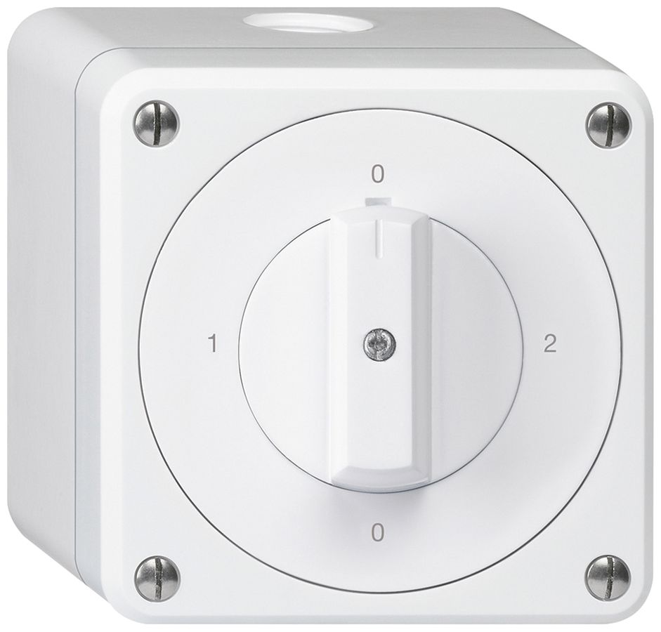 Interrupteur rotatif AP robusto IP55 schéma 2/1P blanc