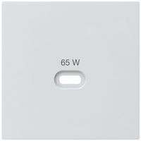 Frontplatte Hager kallysto, zu USB-Ladesteckdose Typ C, weiss