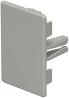 Plaque de fermeture Bettermann pour canal d'installation WDK gris 40×60mm