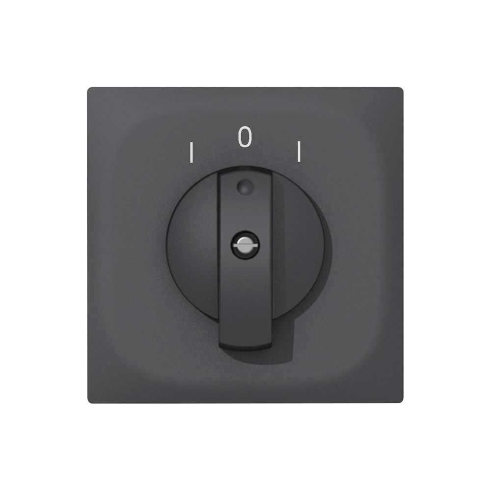 UP-Schwenkkontakt SIDUS E 2×AK anthrazit