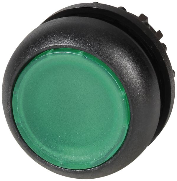 Leucht-Drucktaste ETN RMQ flach grün, tastend, Ring schwarz