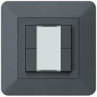 Tasto INC kallysto.trend KNX 4×s/e-link antracite