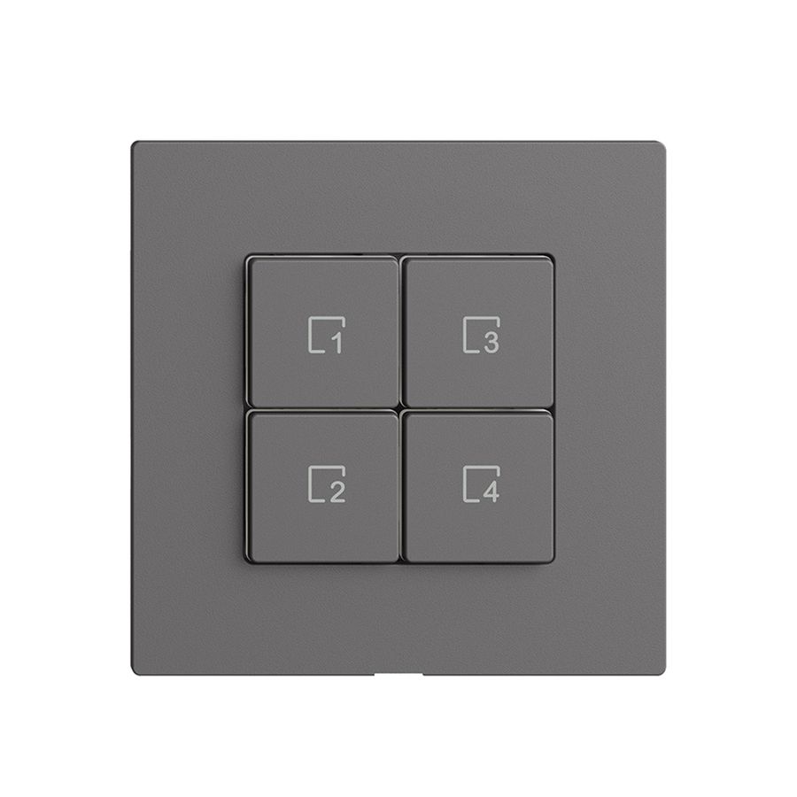 Szenentaster 4 Szenen/4T Edue Wiser dunkelgrau