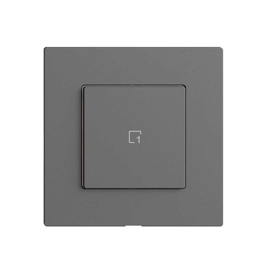 Szenentaster 1 Szene/1T Edue Wiser dunkelgrau