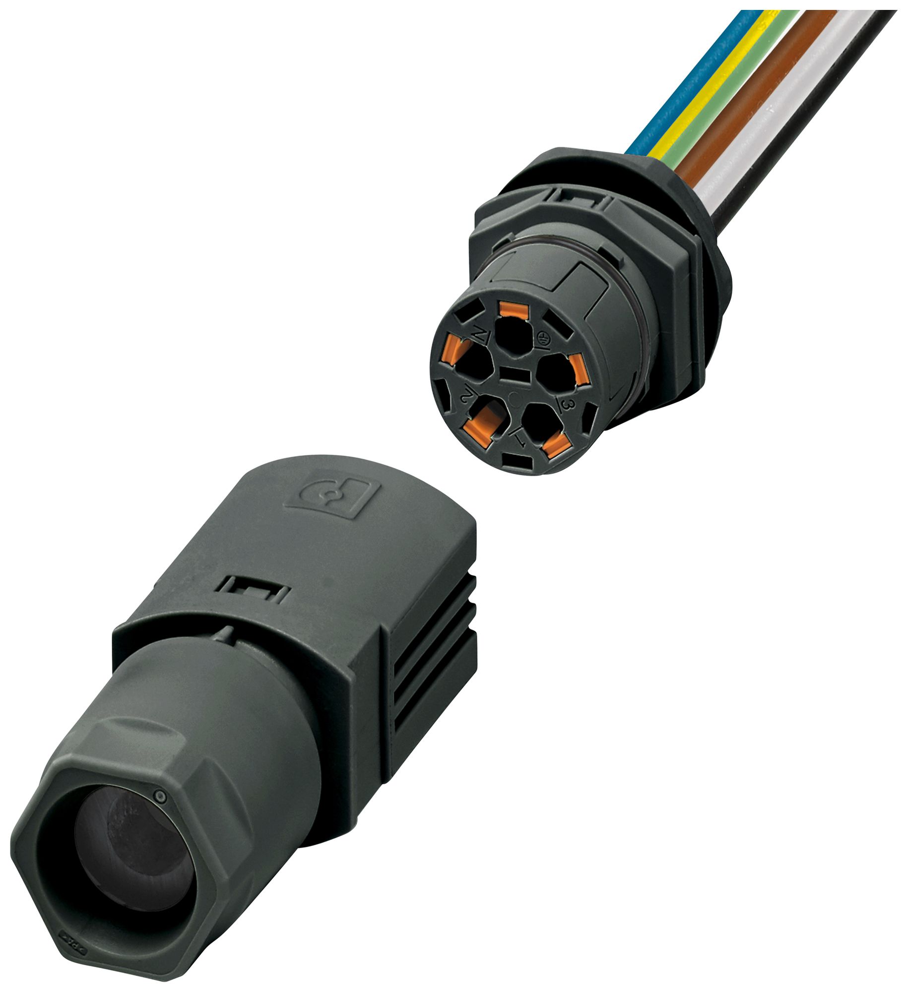 Wanddurchführung PX IPD WD Feldstecker 5P 16A 450V M25 sz IP66 1m