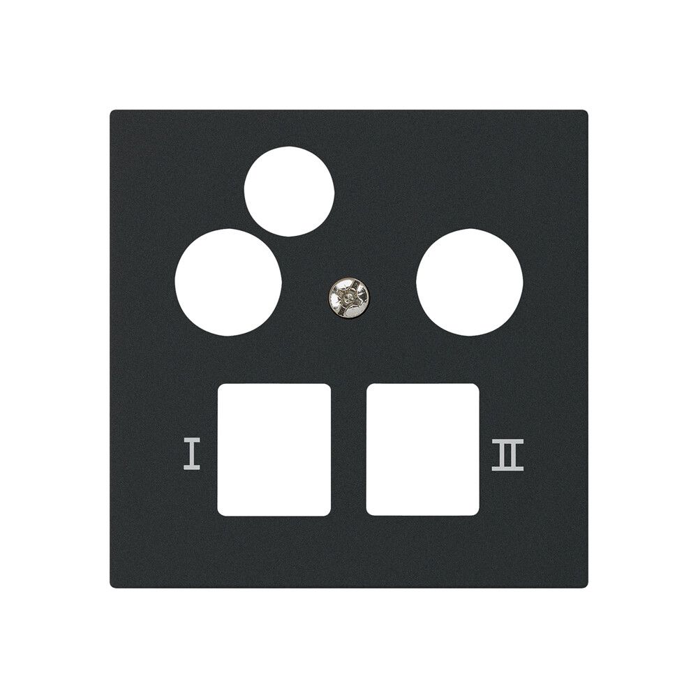 Placca frontale kallysto per R&M HWS nero 3 fori dati multimedia