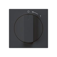 Frontset für Schwenktaster schwarz 60×60mm kallysto 0<-1