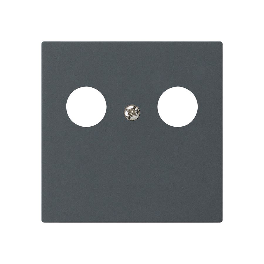 Placca frontale kallysto per R&M HWS antracite 2×coass.