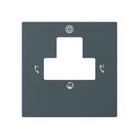 Placca frontale kallysto per presa di ritorno 2 DSL antracite