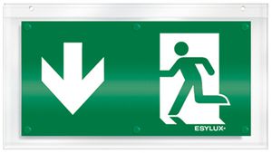 Piktogramm-Scheibe ESYLUX für SLX einseitig Pfeil unten