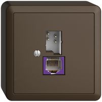 AP-Dose T+T 6P/1×RJ45 DSL-Breitband EDIZIOdue coffee