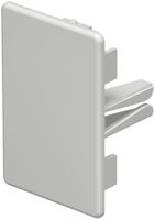 Abschlussplatte Bettermann zu Installationskanal WDK lichtgrau 40×60mm