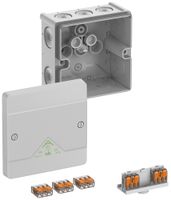 Scatola di derivazione AP Spelsberg Abox SLK-4² 102×102×57mm IP66 gr