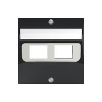 Abdeckset SIDUS zu 2RJ45 anthrazit