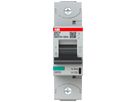 Leitungsschutzschalter ABB S801P-B125 1P 230V B-125A 50kA 1.5TE