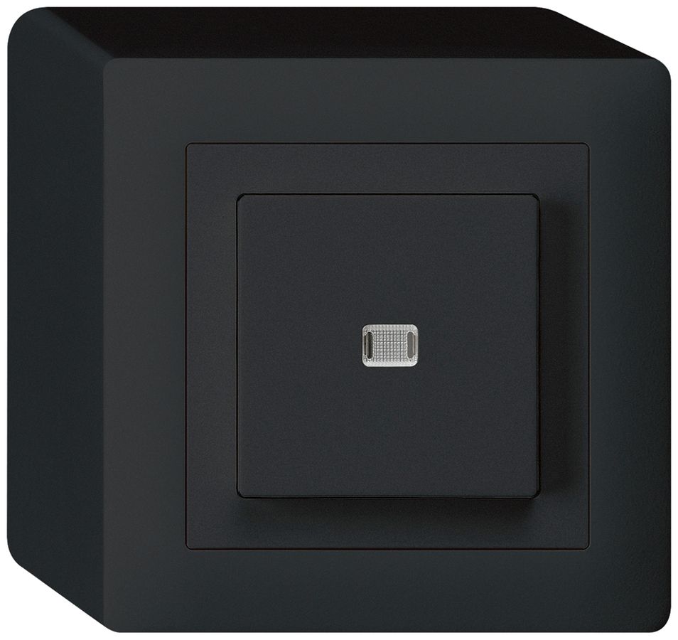 AP-Leuchtdrucktaster kallysto AR/1L schwarz