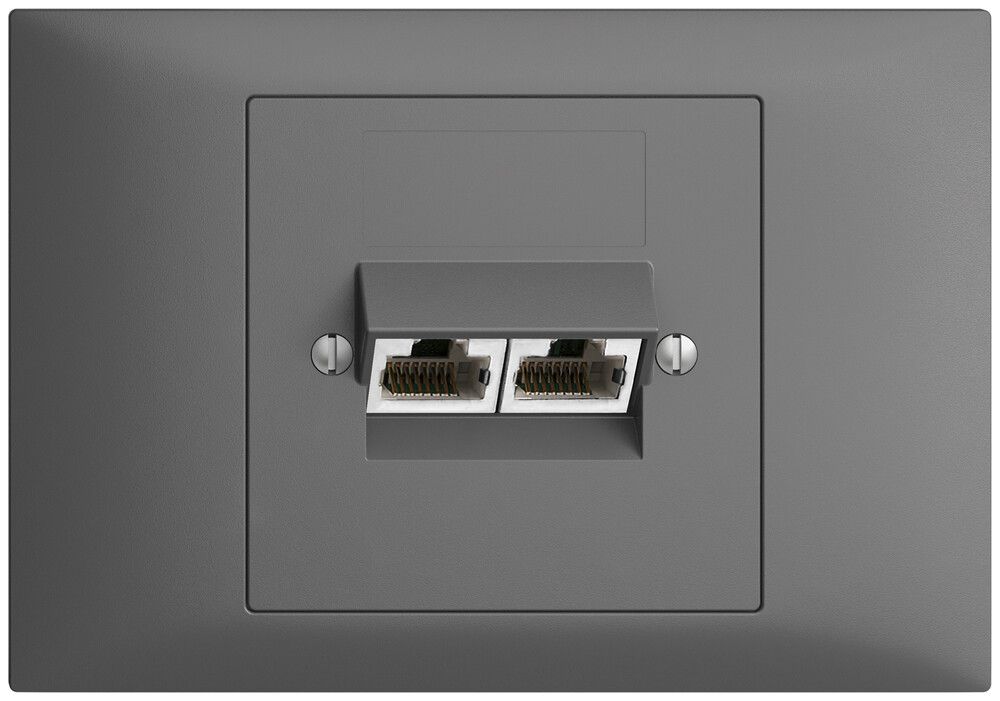 EB-Dose 2×RJ45/s 4P getr. EDIZIOdue dunkelgrau ITplus