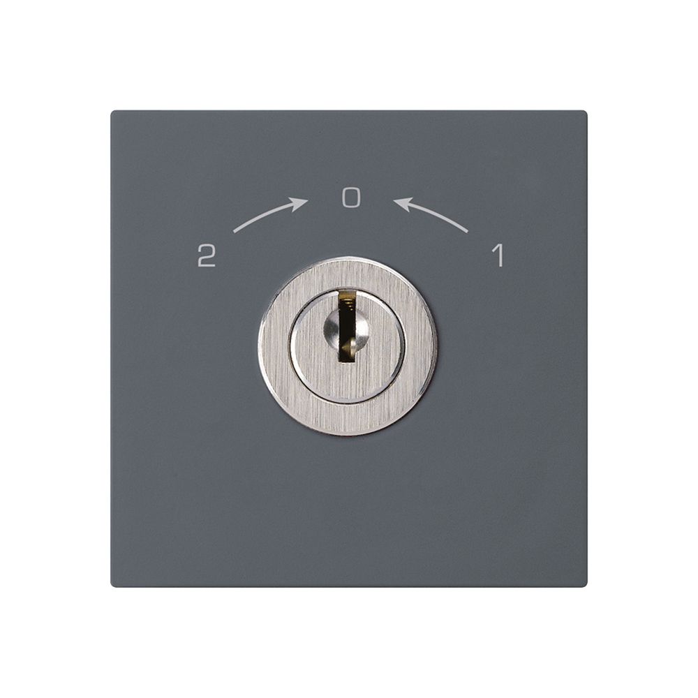 Schwenktaster 1->0<-2 anthrazit kallysto mit Schloss Kaba 8