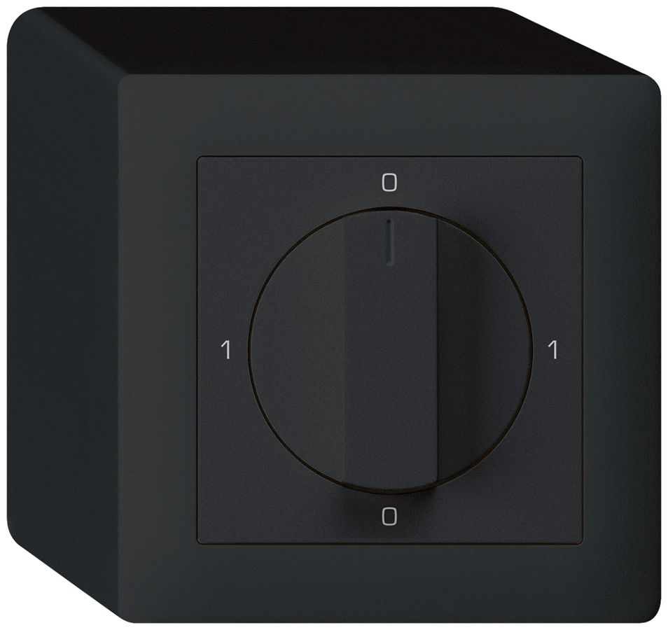 AP-Drehschalter kallysto 0/3L schwarz mit Drehgriff