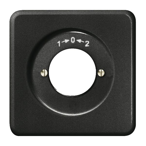 UP-Frontset 1-0-2 schwarz, für Schlüsselschwenktaster FH