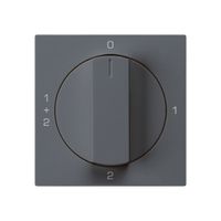 Frontset für Drehschalter S1 anthrazit 60×60mm kallysto 0-1-1+2-2