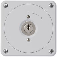 UP-Schlüsselschwenktaster robusto grau ohne Deckel 1P für Kombination