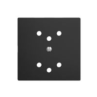 Frontplatte EDIZIOdue 2×T12 schwarz