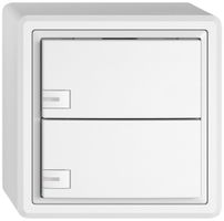 AP-Universaltaster EDIZIO.liv UNI SNAPFIX® m.LED RGB 2× 1-Tbed.ws