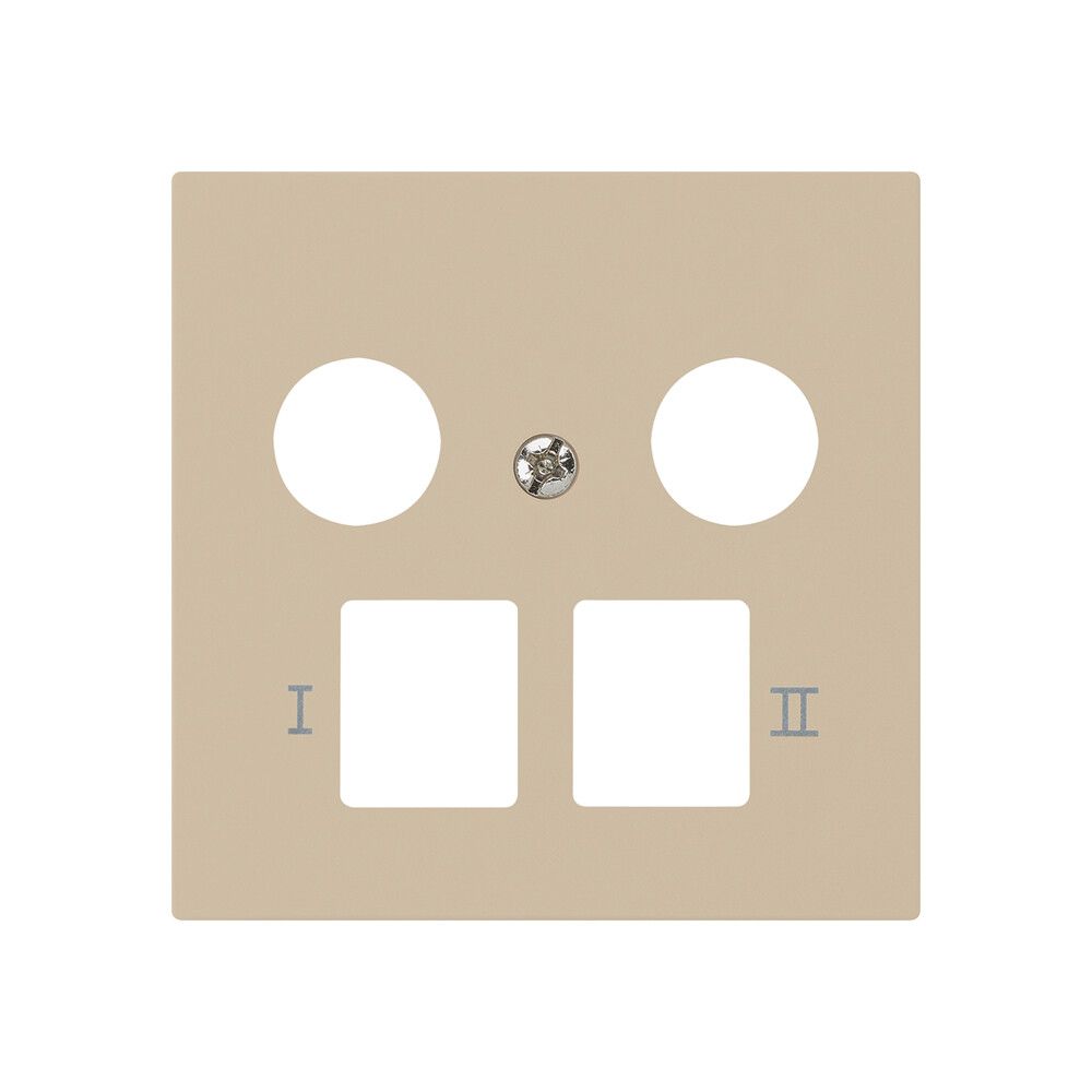 Placca frontale kallysto per R&M HWS beige 2 fori multimedia