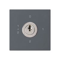 Einsatz zu Schlüsselschalter kallysto 1/1L anthrazit mit Schloss Kaba 8