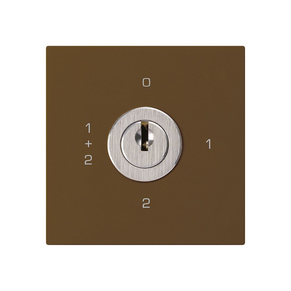 Intérieur interrupteur à clé kallysto 1/1L brun avec serrure Kaba 8