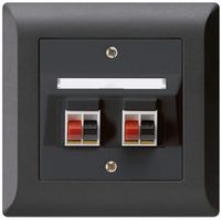 Prise ENC audio kallysto.line 2× noir borne à étrier pour 2 haut-parleurs