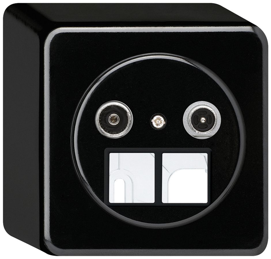 AP-Multimediadose basico TV-R 11dB 2GHz schwarz