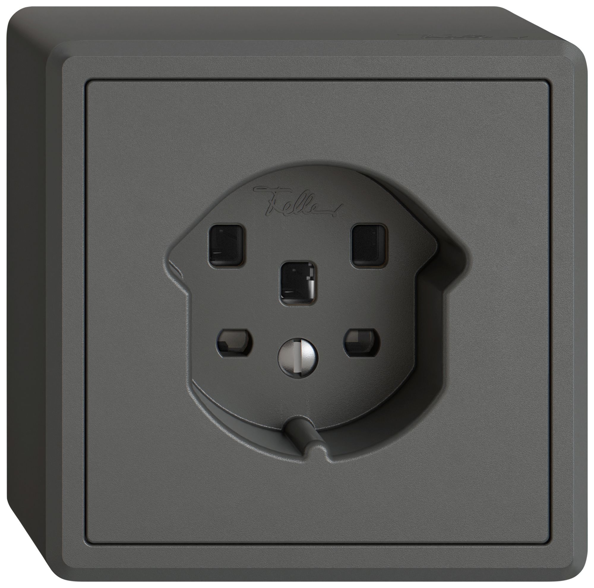 AP-Steckdose EDIZIO.liv SNAPFIX® 1×T25 dgu