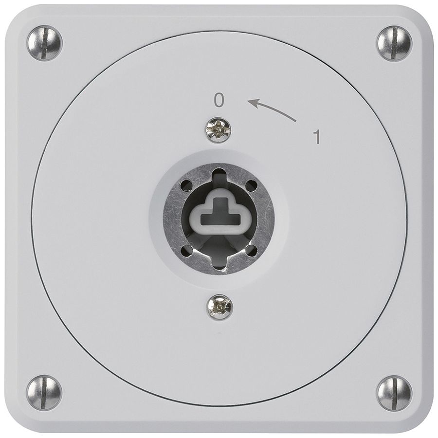 UP-Schlüsselschwenktaster robusto grau o.Deckel o.Zylinder 2P für Kombination