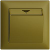 UP-Schalter Hotelcard 250VAC 1L EDIZIOdue olive