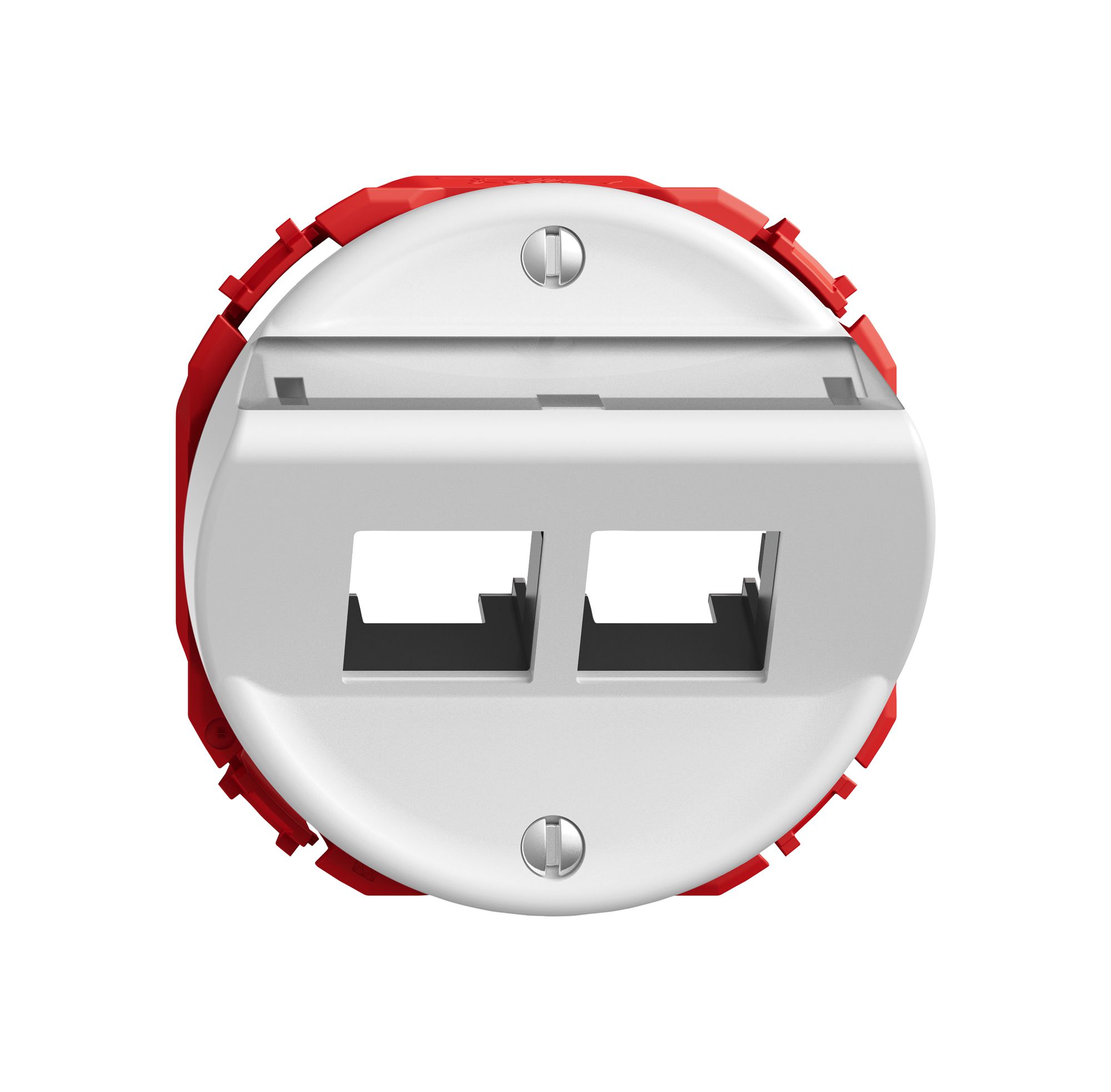 Montageset STANDARDdue EASYNET S-One SNAPFIX® schräg für 2×RJ45 ws
